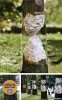 science-world-beaver-tree.jpg science-world-beaver-tree.jpg