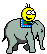 elephantride.gif