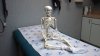BB Skeleton.jpg