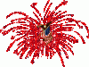patrotic_animated_fireworks (1).gif