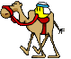 camel-smiley.gif camel-smiley.gif