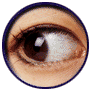 3254352.gif