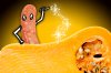 introducing_sausage_roasted_squash.jpg