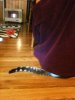 dexie hiding.jpg
