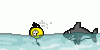 shark2.gif