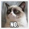 Grumpy Cat.jpg