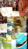 bbau9-2014-house-promosneakpeak.jpg