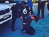 LilSis Lilly Allen Fake AFP Arrest.jpg