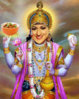 Vishnachicken.jpg Vishnachicken.jpg