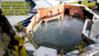 skye floods the house.jpg skye floods the house.jpg