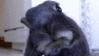 jEqNXl9.gif