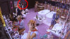bbau9-2014-surlymk2-theparrot.jpg