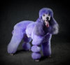PURPLEEE.jpg