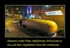 truck.jpg