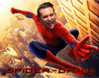 Spider-David.jpg