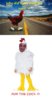 Road1.jpg