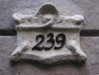 239_TurtleBay.jpg