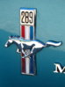50166527.FB289Mustang.jpg