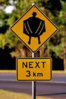 flasher road sign.jpg