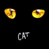 Cat7.jpg