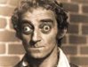 feldman04.jpg