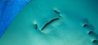ryan in the pool.jpg
