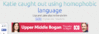 middleboga.gif