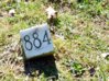 sunnyside-8842.jpg
