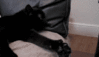 url-1.gif