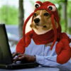 tumblr_m5dgbaniUm1qk5io2.png
