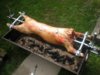 spitlamb 026.JPG