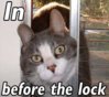 in before the lock.jpg