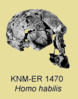 KNMER 1470.gif