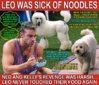 leo was sick of noodles.jpg