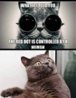 Kitty.jpg