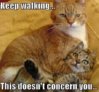 KEEP WALKING CAT.jpg