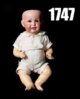 1747.jpeg