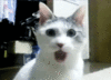 tumblr_lvcmjjYYfB1qbunx5.gif