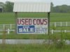 used-cows-for-sale.jpg