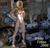 2060.jpg