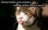 Always-forgive-your-enemies-nothing-annoys-them-as-much.jpg Always-forgive-your-enemies-nothing-annoys-them-as-much.jpg