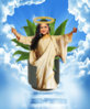 Pot Plant Priya.jpg