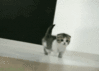 babygif.gif