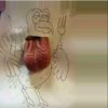 IMG_10955450207358.jpeg