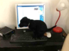 upload_2014-11-29_10-1-21.png