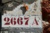 2667.jpeg