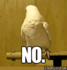 no.gif