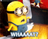 ezgif.com-resize.gif