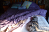 upload_2014-12-12_21-45-13.png