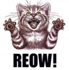 Angry Cat.png